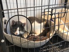 -颐玖 咖啡|甜品