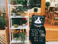 -猫的天空之城概念书店(印象城购物中心店)