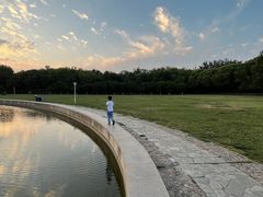 -泰丰公园