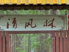 -渌洋湖湿地公园
