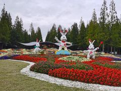 -东平国家森林公园