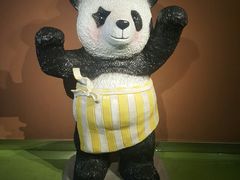 景点-成都泰迪熊博物馆
