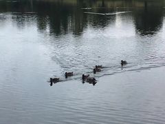 -滨海湖高尔夫球会