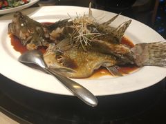 清蒸桂鱼-口味堂(惠济路店)