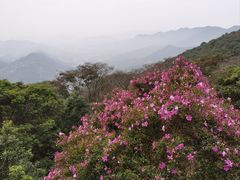 -广州市石门国家森林公园