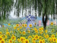 -廊坊文化艺术中心