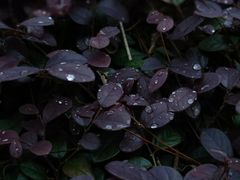 -天目湖涵田度假村
