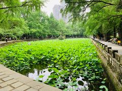 -四川大学(华西校区)