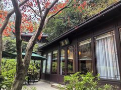 -十八棵（老龙井）御茶园(老龙井店)