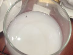 不停有小虫光顾的饮料（第N杯，待续）-小龙酒家(桂平路店)