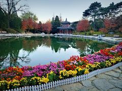 -香山公园