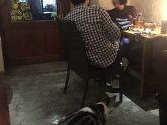 -豆老板的猫咖啡(碑林博物馆店)