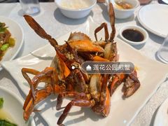 -莲花公园煎蟹(总店)