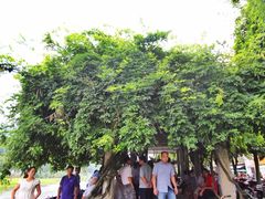 iphone_upload_pic-溪口-滕头旅游景区