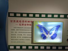 -上海昆虫博物馆