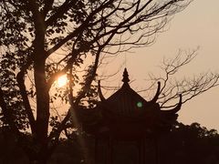 -顺峰山公园