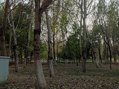 -莫子山公园