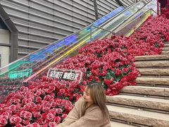 -万科生活广场(东莞松山湖店)