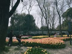 -无锡梅园公园
