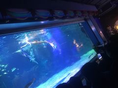 -石家庄海洋公园