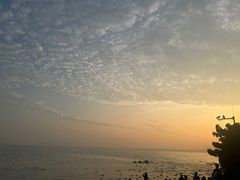 -深圳湾公园(南山区)