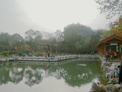 -金银湖国家城市湿地公园