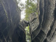 -梭布垭石林景区