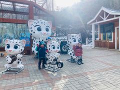 -青藏高原野生动物园