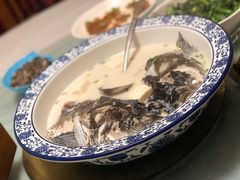 千岛湖有机鱼头-全乐鱼馆·淳牌有机鱼直营店