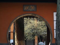 -灵谷景区