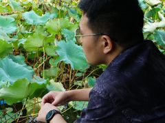 -丝绸小镇荻港古村