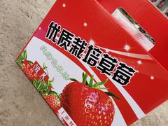 -小鱼草莓采摘园农家乐·小鱼餐厅