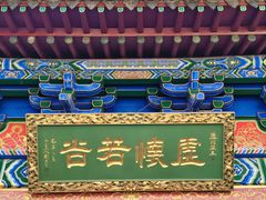 -真庆观