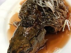 罾蹦鲤鱼-津菜典藏河西店(水上店)