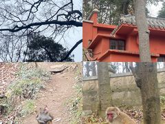 -黔灵山公园
