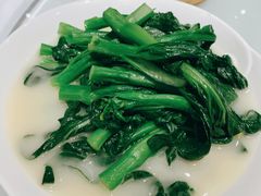 -春满园·早茶·粤菜·宴会(喜宴店)