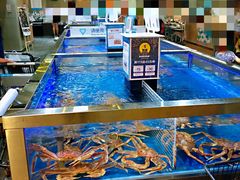 雪蟹-盒马X会员店(王府井奥莱UP TOWN店)