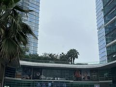-棕榈MALL