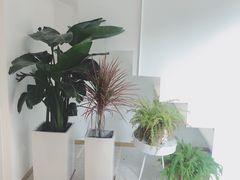-花沐 FLOWER BATH(凤凰城店)