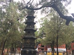 -中岳庙