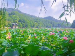 -杭州奥体中心-体育场