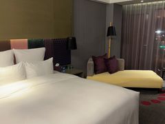 -南京禄口机场雅高铂尔曼大酒店