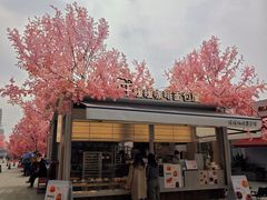 -首开·龙湖成都西宸天街