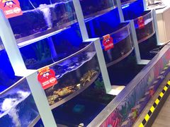 -七欣天(上海淮海路新尚广场店)