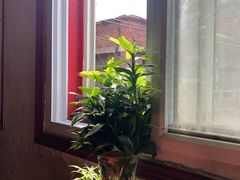 -胖哥料理(兴义里店)