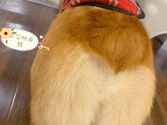 -柯斗斗主题餐厅·狗咖·围炉煮茶·茶饮(国瑞升平里店)