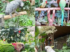 -南宫五洲植物乐园