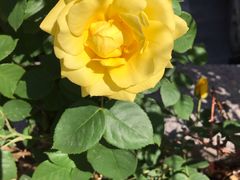 -平娃三宝烧烤·面食(南小街店)