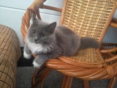 -巧云大馄饨(南阴阳营总店)