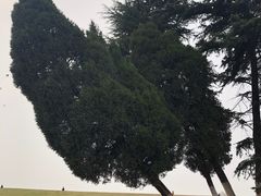 -钟山体育运动公园